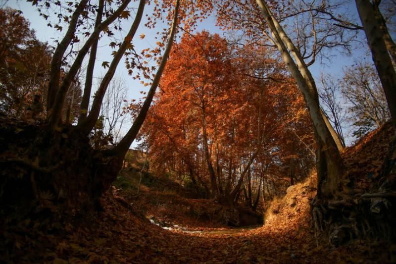 درکش و چنشت