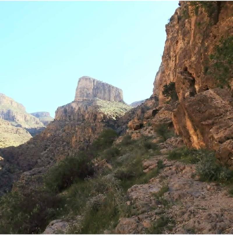 قصر قباد یا قلعه قباد