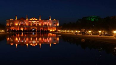 کرمان در شب