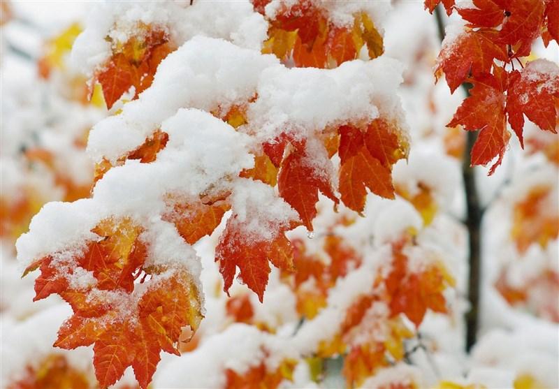 سازمان هواشناسی