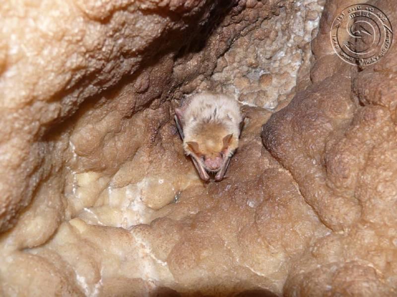 غار کان گوهر