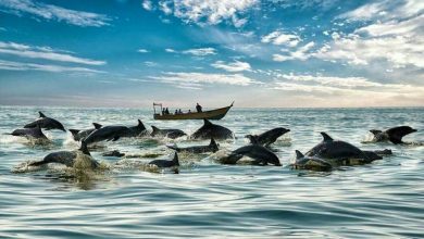 10 مقصد زمستانی