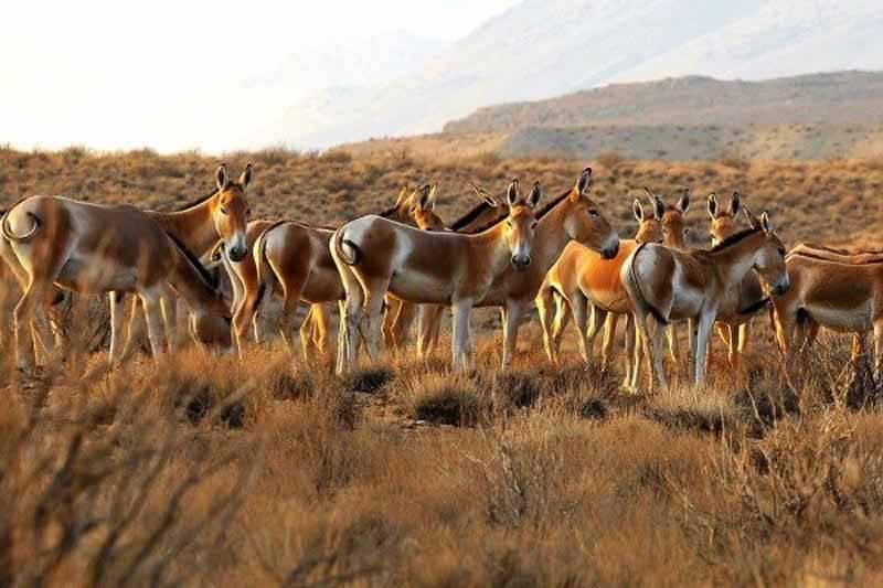 10 مقصد طلایی و ناب برای سفر