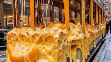 عاشقان پنیر به این تصاویر نگاه نکنند!