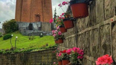 کاشف السلطنه پدر چای ایران