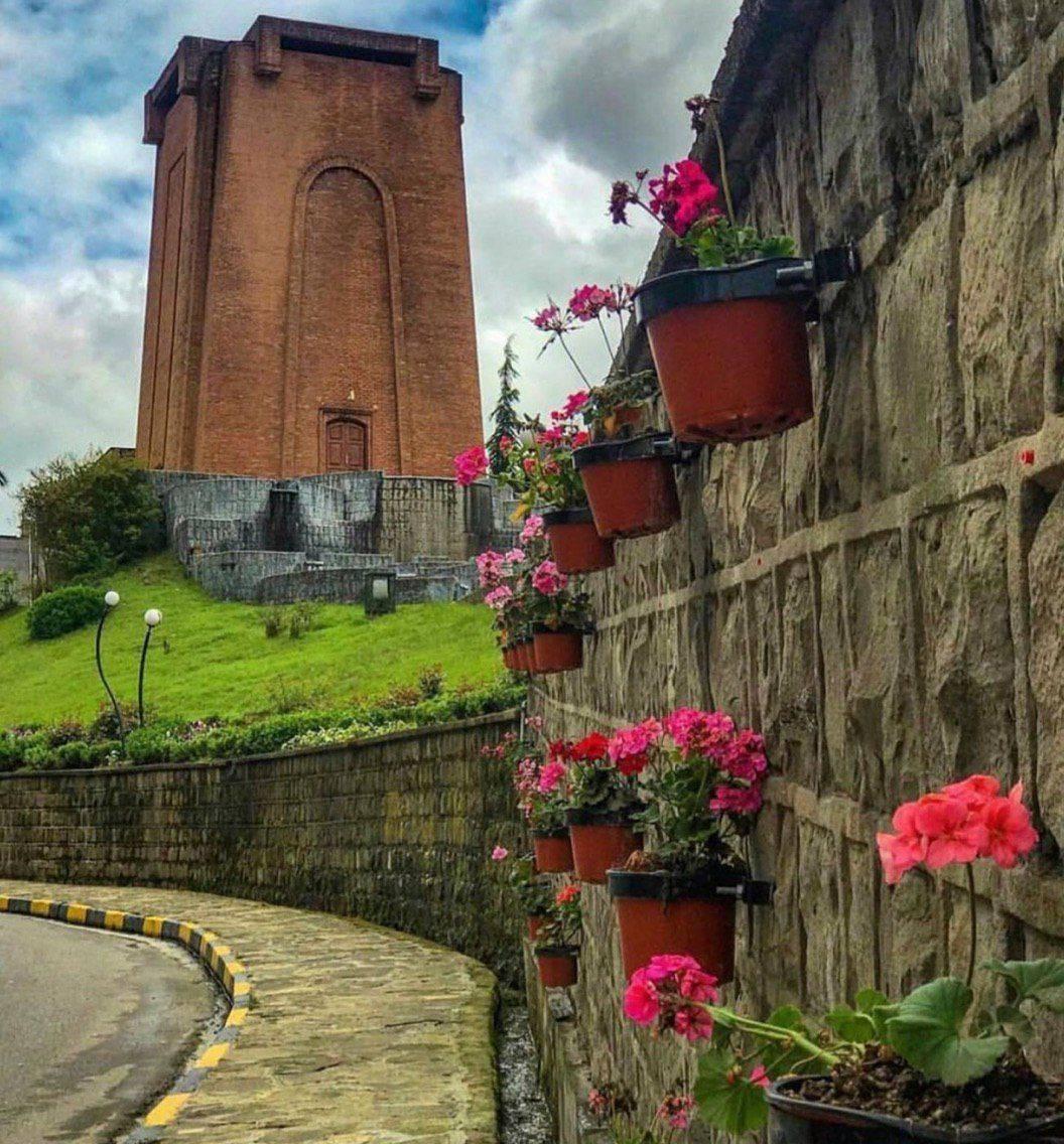 کاشف السلطنه پدر چای ایران