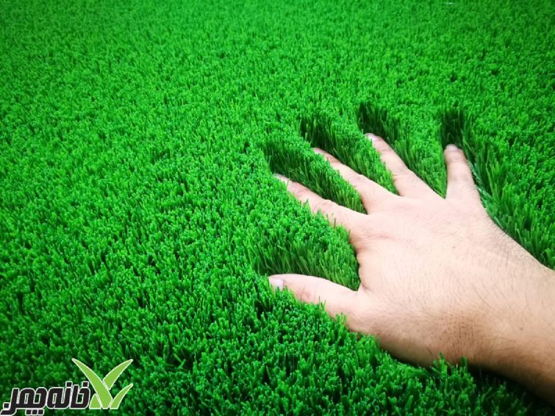قیمت چمن مصنوعی