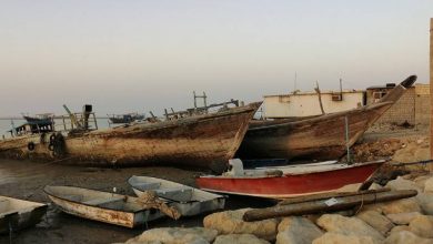 جزیره زیبای شیف