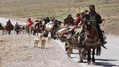 کوچ بهاری عشایر