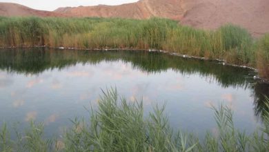 چشمه آب تلخ