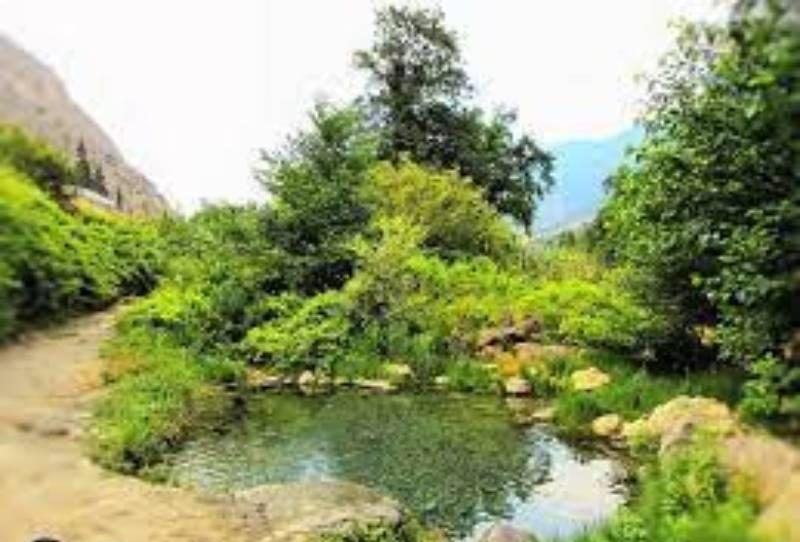  آب معدنی آمولو