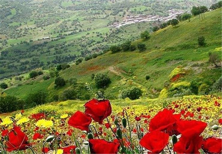 سفر در تعطیلات عید فطر