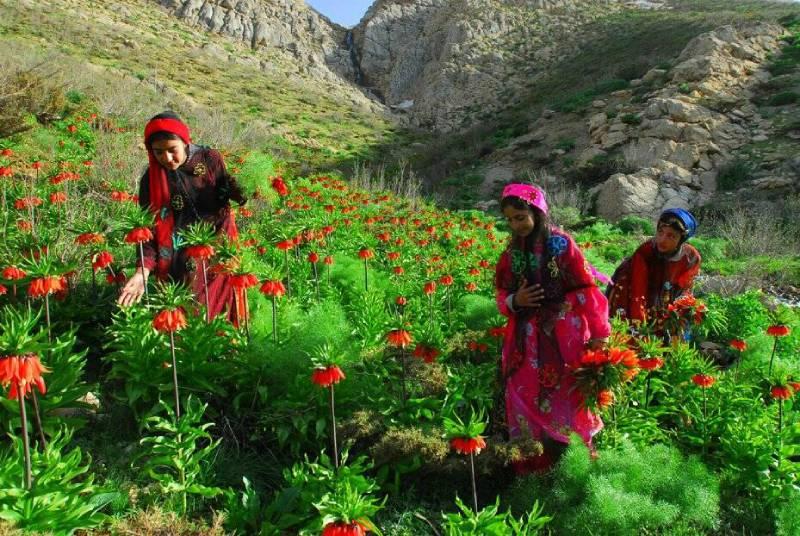 این 8 دشت را باید گشت