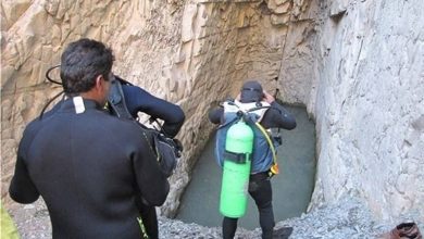 غار ماهی کور