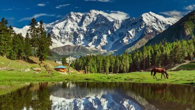 چمنزارهای پری