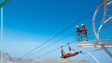 سازنده زیپ لاین