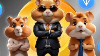 کامبوی امروز (15 شهریور ) همستر