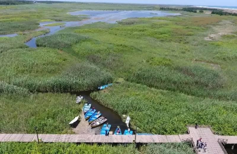 پل چوبی کیاشهر