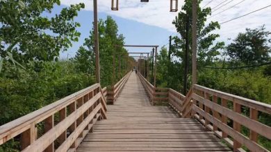 پل چوبی کیاشهر