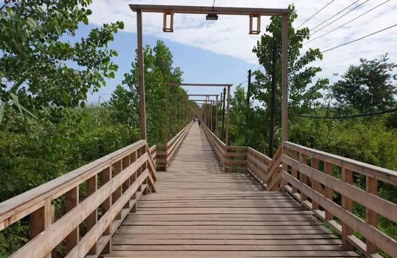 پل چوبی کیاشهر