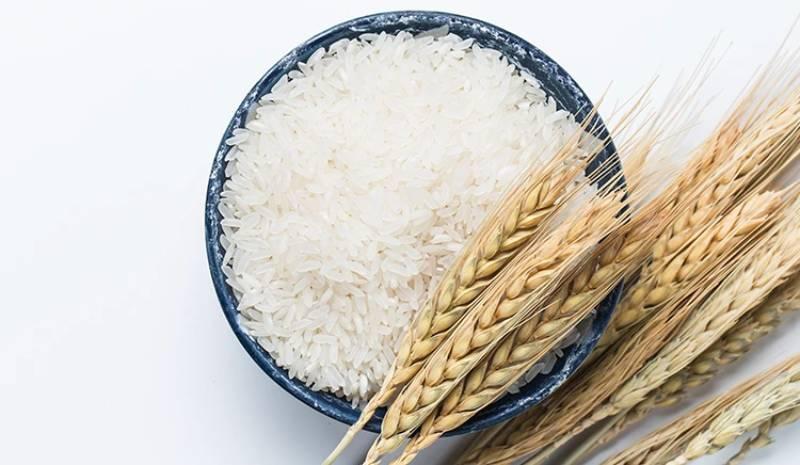 برنج عنبربو چیست