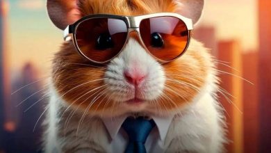 توکن‌های همستر