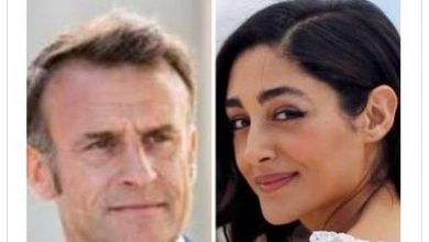 رابطه عاشقانه گلشیفته فراهانی