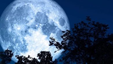 ماه کامل سال ۱۴۰۳