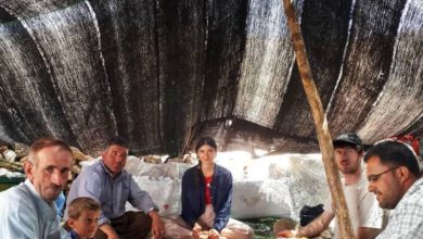 آبگوشت مشتی دالامپر