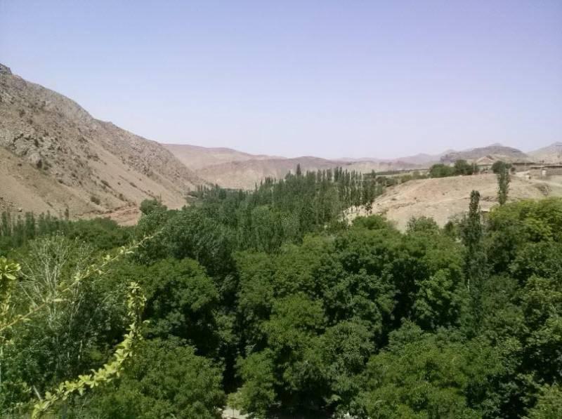 روستای درخت جوز