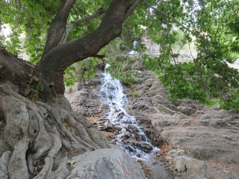 روستای درخت جوز