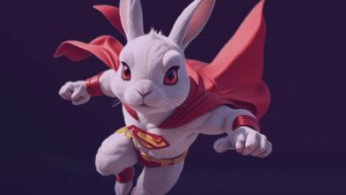 راکی رابینز