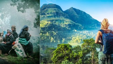 Scenic Sri Lanka Tour Package - Visit Sri Lanka Tours