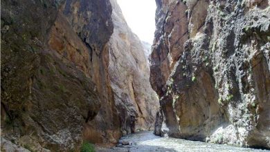 تنگه واشی