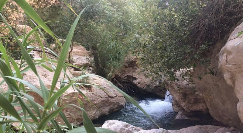 دره آکواریوم