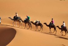 تورهای پاییزی