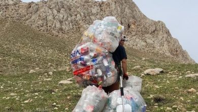 مهرگان کوهستان