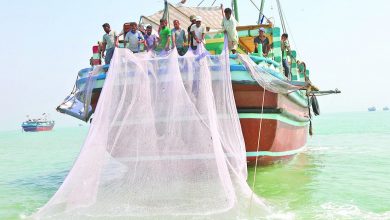 تقويم صيادي