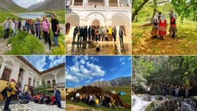 تور طبیعت گردی گروهی سازمانی