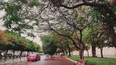 بهترین شهر های عربستان برای سفر