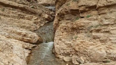 تنگه خالیان