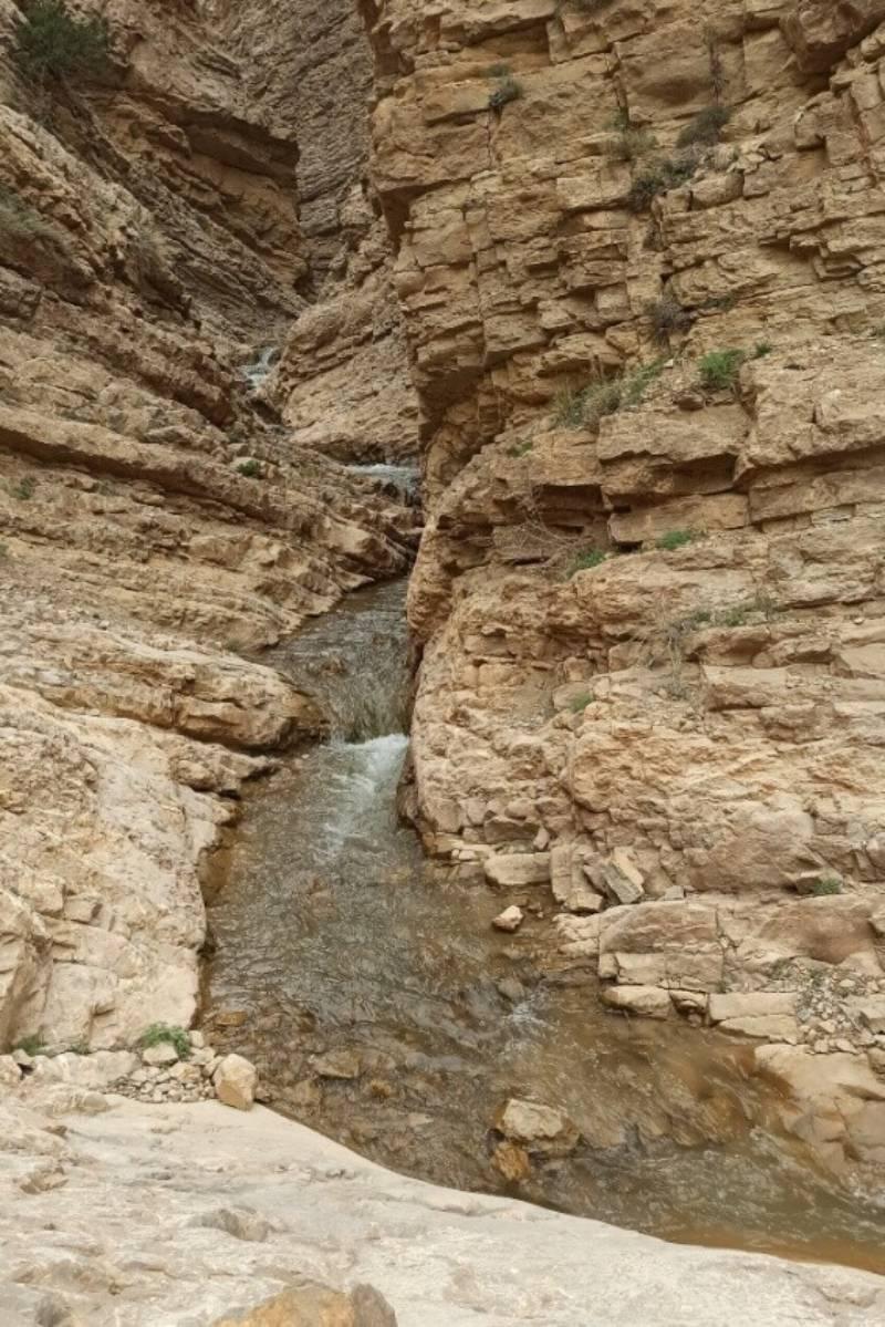 تنگه خالیان