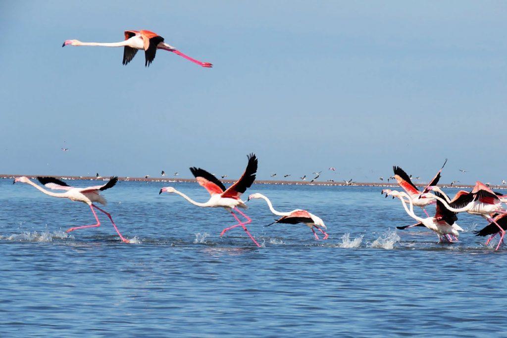 تالاب گمیشان