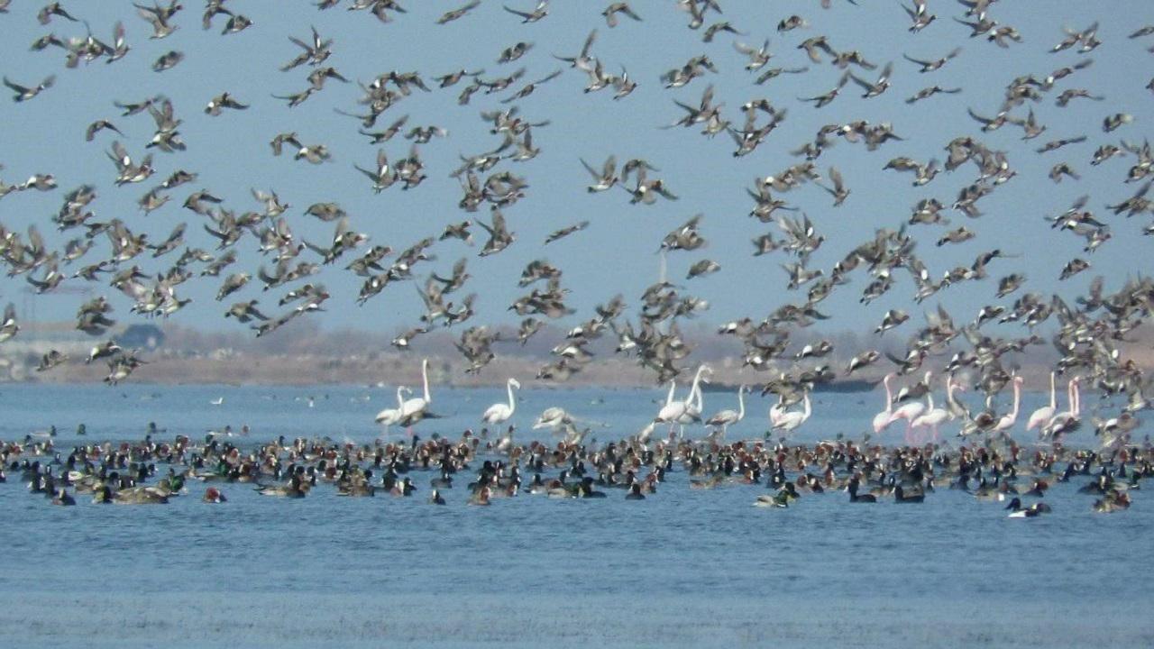 تالاب گمیشان