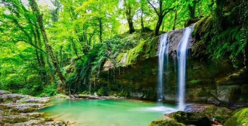 زیباترین جنگل های ایران