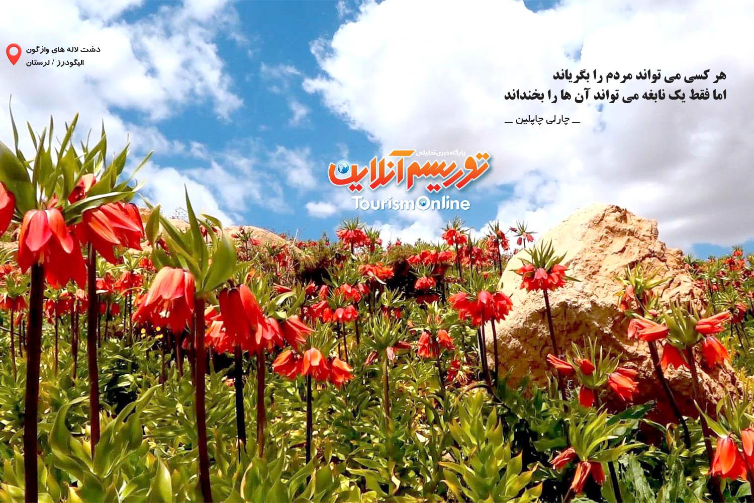 دشت لالههای واژگون الیگودرز