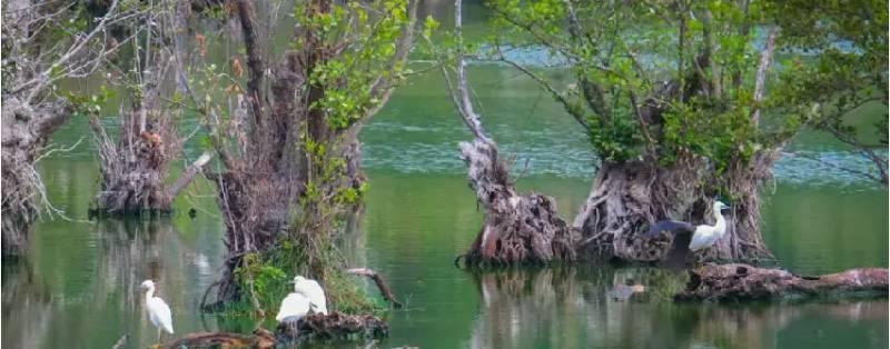 تالاب استیل