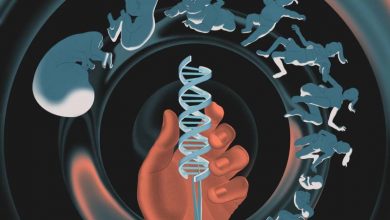 ساخت DNA انسان