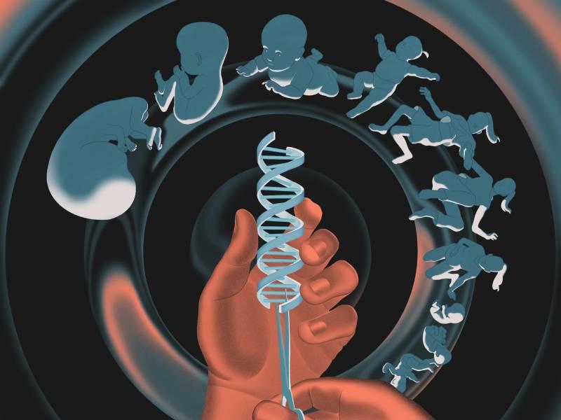 ساخت DNA انسان