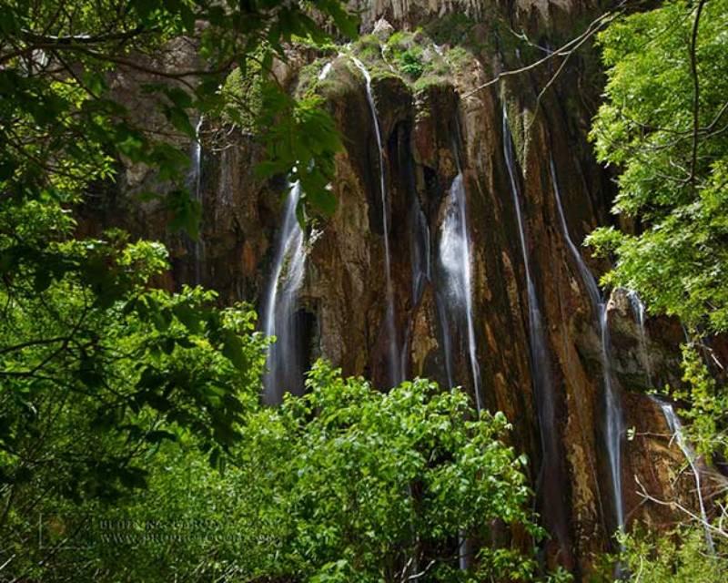 گردشگری فارس